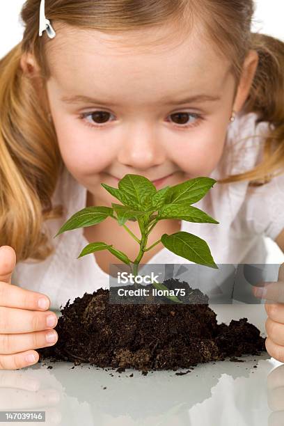 Bambina Felice Osservando Giovane Pianta - Fotografie stock e altre immagini di Accudire - Accudire, Agricoltura, Allegro