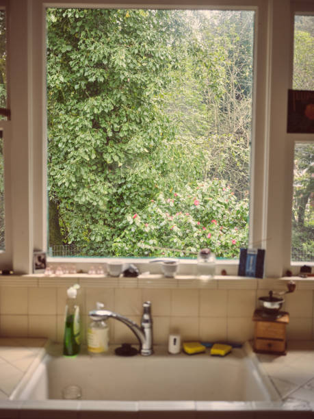 Tomatoes placed on the windowsill of a kitchen.