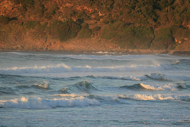 Praia de Wildernis - fotografia de stock