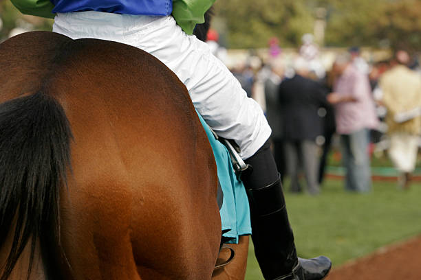 Ready to Race Detail of horse and jockey with nicely blurred background of racing fans. kentucky derby stock pictures, royalty-free photos & images