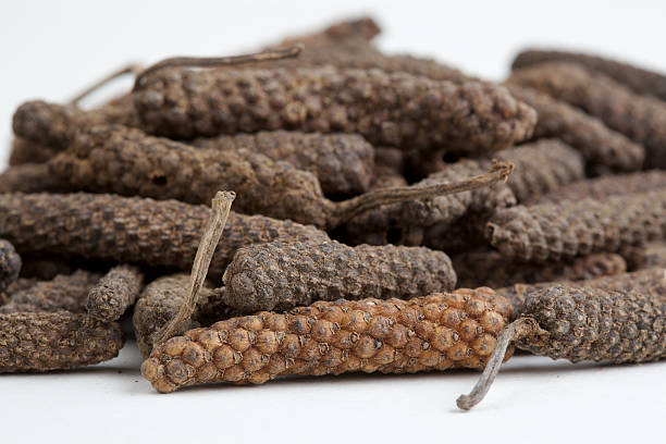 long pepper stock photo