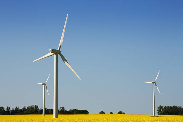 Turbinas eólicas - fotografia de stock