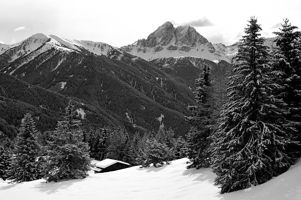 istock Sass de Putia mountain in black and white 147040783