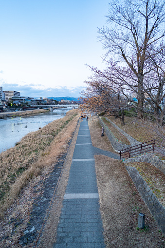 Kyoto, Japan - 31 January, 2023: Kamo river of Kyoto located in Kyoto City. which is regarded as a gathering point for local townspeople, People go for a walk along this river of Kyoto and do activities with relax. It can be said that there is both the natural atmosphere and the Japanese way of life.