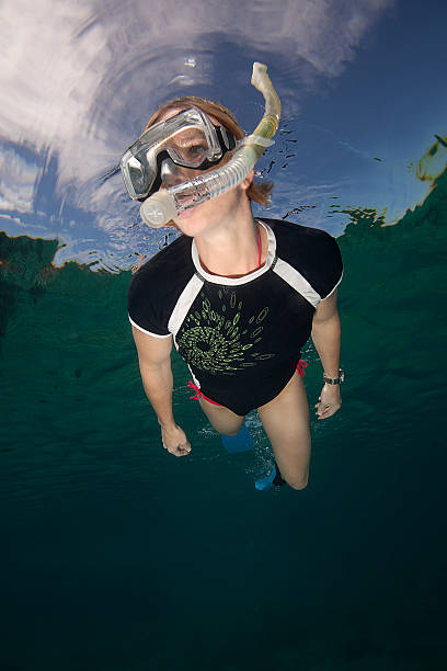 Fit woman snorkeling in tropical water Fit woman snorkeling underwater in tropical water, Fiji vanua levu island photos stock pictures, royalty-free photos & images