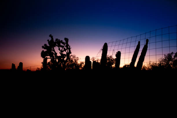 Sunset in semi-desert landscape in Mexico stock photo