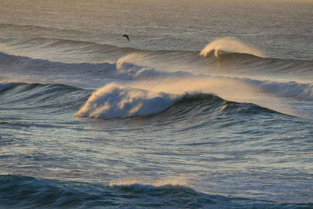 A Garden Route - foto de acervo