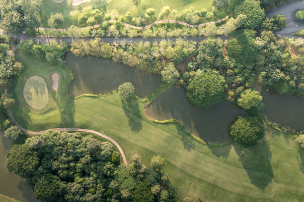 istock Landscape in golf course in aerial view. 1470417697