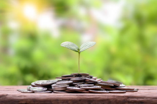 istock Business concept, saving money and economic growth.Tree growing on a stack of coins. 1470418474