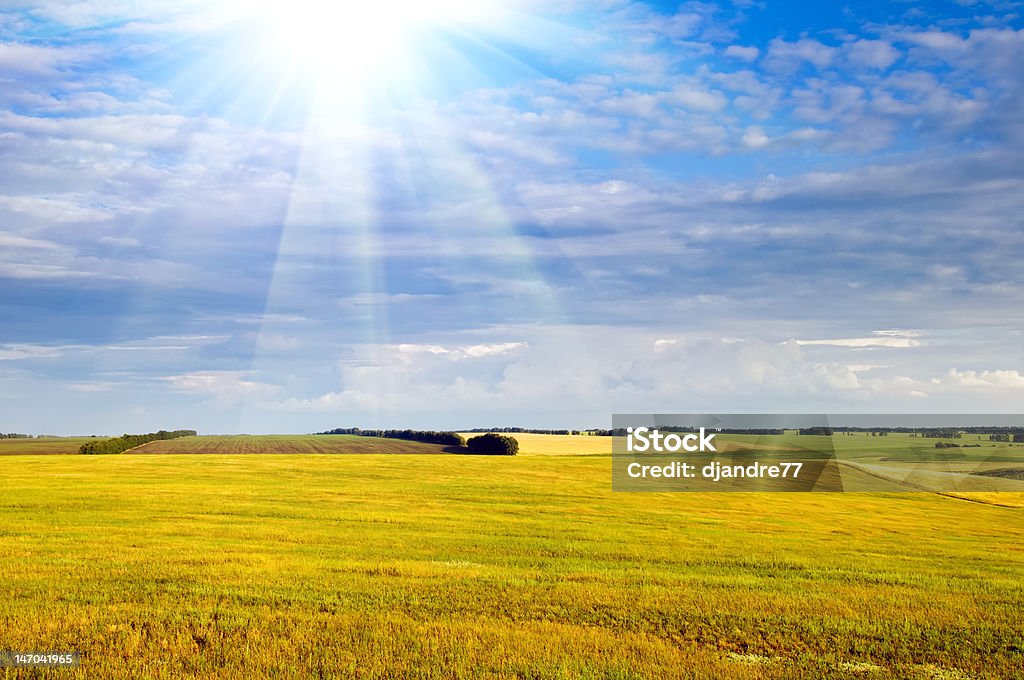 Желтое поле и темно-синее небо с солнцем света - Стоковые фото Без людей роялти-фри