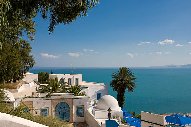 istock Sidi Bou Said with palm trees and the sea 147042082
