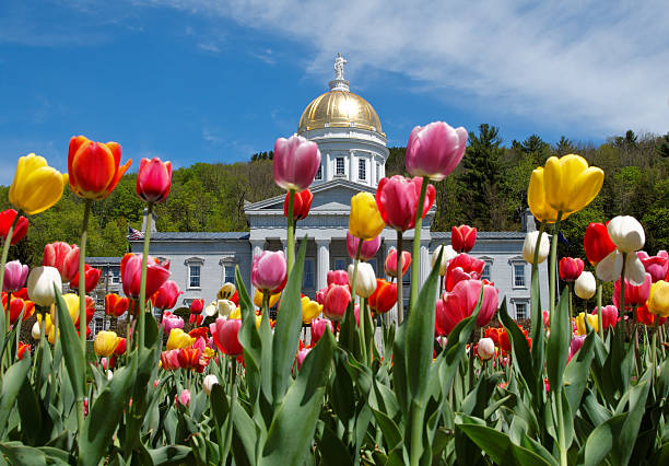 Montpelier Capital building with Tulips