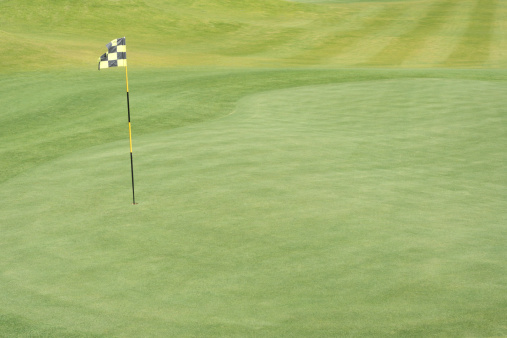 golf course putting green fairway with hole and flag
