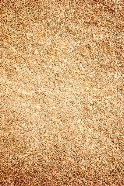 Scratch textura de luz - foto de acervo