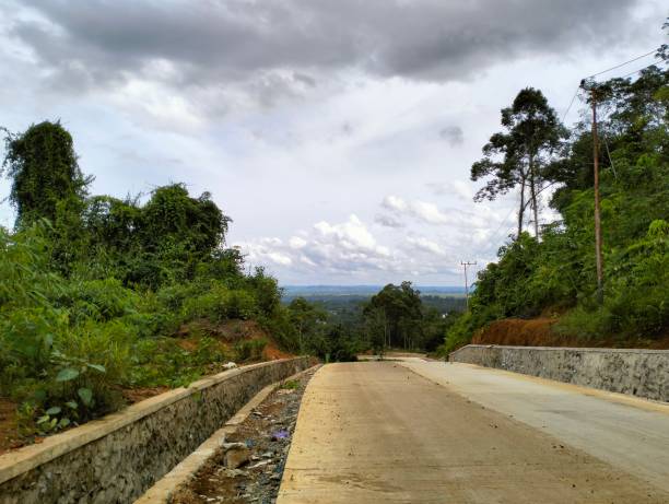 istock The Green Roadside Forest 1470426181