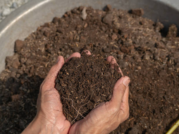 istock hands of a grower holding compost. 1470426494