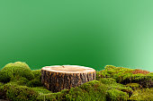 natural style. Wooden saw cut, round podium with green moss on a green background. Still life for the presentation of products.