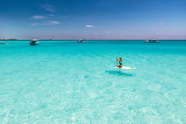 istock Young woman enjoying while paddleboarding in summer day at sea. 1470428955