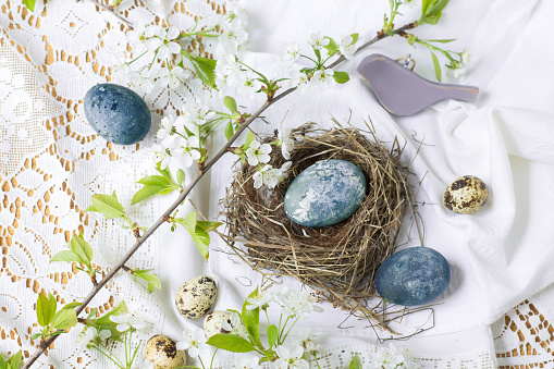 Traditional Easter eggs colored with blueberries in blue color ,quail eggs, bouquet of branches  with unfolded leaves on the festive Easter table with white lace tablecloth, Easter holiday table decoration