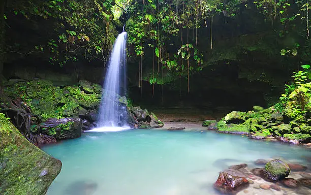 Emerald pool on the island of dominica in the Caribbean deep in the rainforest