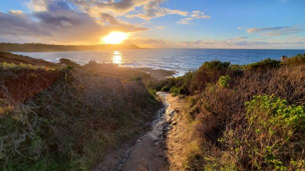 istock Landscape with moody sunset 1470433619