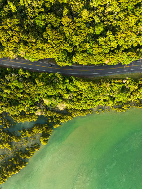 istock Road through forest and next to sea. 1470435224