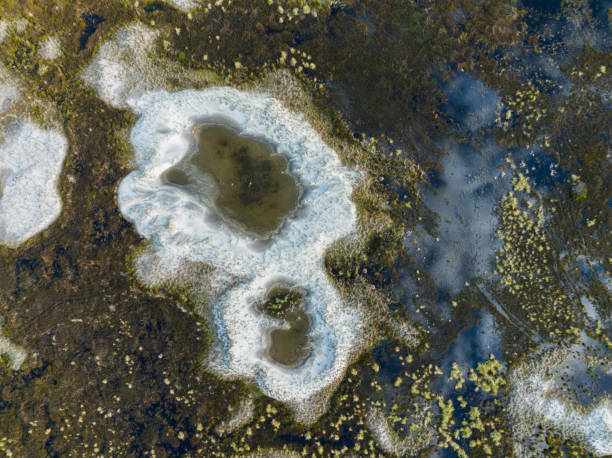 istock Aerial view of wetland. 1470435237