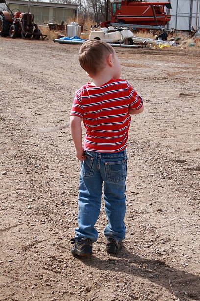istock Little Boy Exploring on the farm 147043552