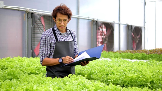 Asian male farmer owner checking quality and quantity of organic hydroponic vegetable garden at greenhouse farm. Organic vegetables cultivate in water, Agriculture business