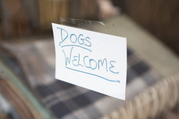 istock Dogs welcome sign in a shop window 1470440185