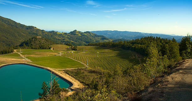 гора виноградник - vineyard panoramic napa valley california стоковые фото и изображения