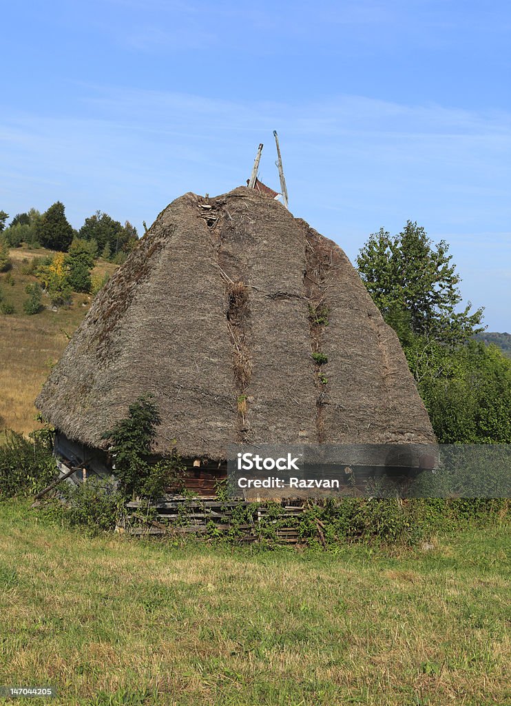 伝統的な Transylvanian ハウス - かやぶき屋根のロイヤリティフリーストックフォト