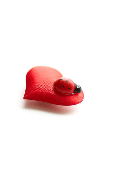 istock red heart with little ladybird 147044399