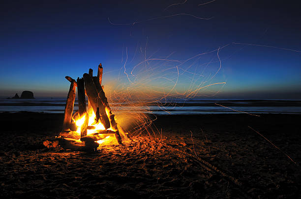 falò sulla shi-shi beach - beach sunset sand wood foto e immagini stock