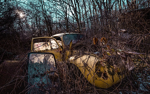This old yellow car is sitting in a field of overgrown trees, lending an antique feel to the image