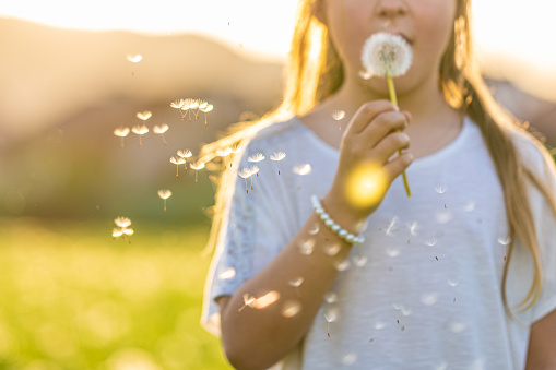 Girl blowing dandelion seeds during sunset.