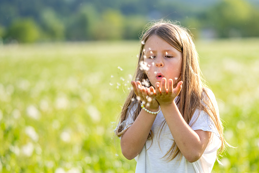 Girl boy blowing dandelion seeds outside in garden meadow.
