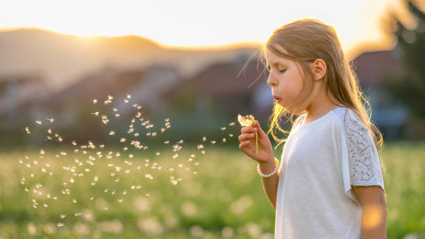 istock Girl blowing dandelion seeds 1470448991