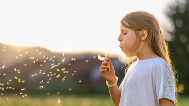 istock Girl blowing dandelion seeds 1470448992