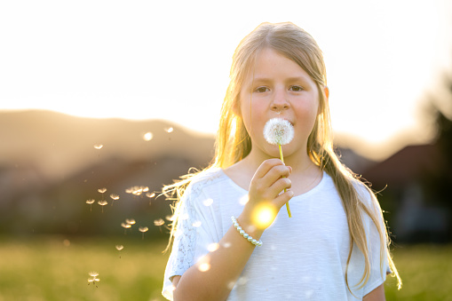 Portrait of girl blowing dandelion seeds during sunset.
