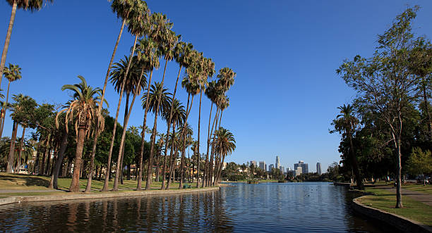 istock Los Angeles park and city skyline 147044908