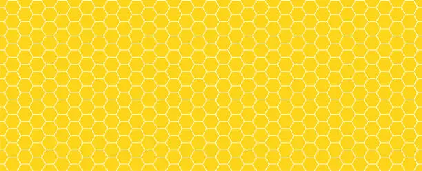Vector illustration of Honeycomb seamless pattern background. Honey hexagon texture. Vector illustration
