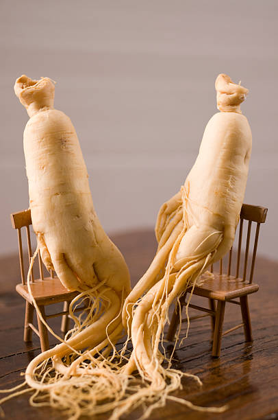 チョウセンニンジン根本原因 - ginseng vegetable chair panax ストックフォトと画像