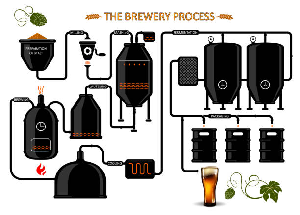 Diagram of  the process of brewing beer. Detailed illustration vector art illustration