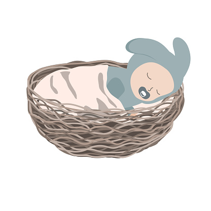 An adorable newborn boy sleeping comfortably in a waved nest. Flat vector illustration isolated a white background.