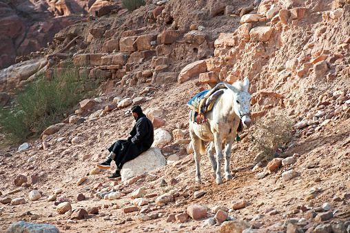 Lone figure rests with his donkey near Al Siq canyon, Petra, Jordan, Middle East. Petra, built around 300 B.C. by the Nabataean Arabs, is the world famous archaeological site in Jordan's southwestern desert. Capital of the Nabatean Kingdom it seamlessly blends Arab style with Hellenistic and Roman or Byzantine architecture. Accessed via Al Siq, a narrow canyon, it contains tombs and temples carved into the pink sandstone cliffs, hence the 'Rose City' The most famous and iconic structure is Al Khazneh, a temple with an ornate Greek-style facade, also known as The Treasury