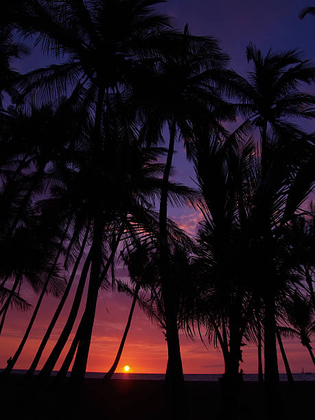 istock Tropical sunset at Waikoloa,Hawaii 147045388