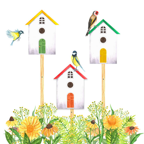 ilustraciones, imágenes clip art, dibujos animados e iconos de stock de acuarelas pajareras dibujadas a mano en la cerca con flores de jardín - birdhouse wood isolated white background