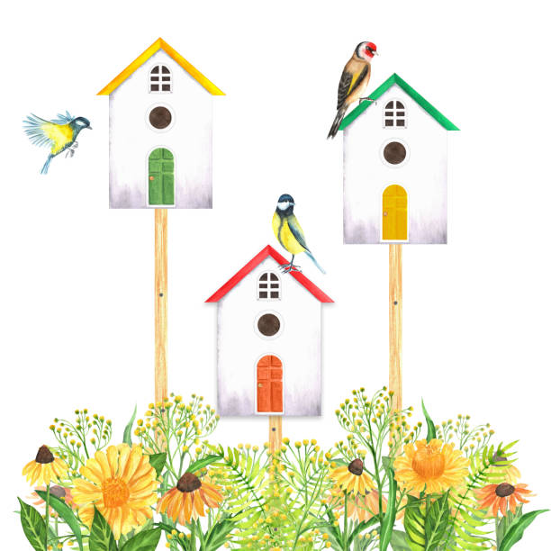 illustrations, cliparts, dessins animés et icônes de nichoirs aquarelles dessinés à la main sur la clôture avec des fleurs de jardin - birdhouse wood isolated white background