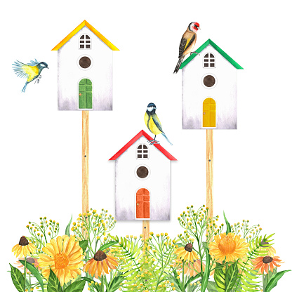 Hand-drawn watercolor birdhouses on the fence with garden flowers. A small part of the big set BIRDS GARDEN